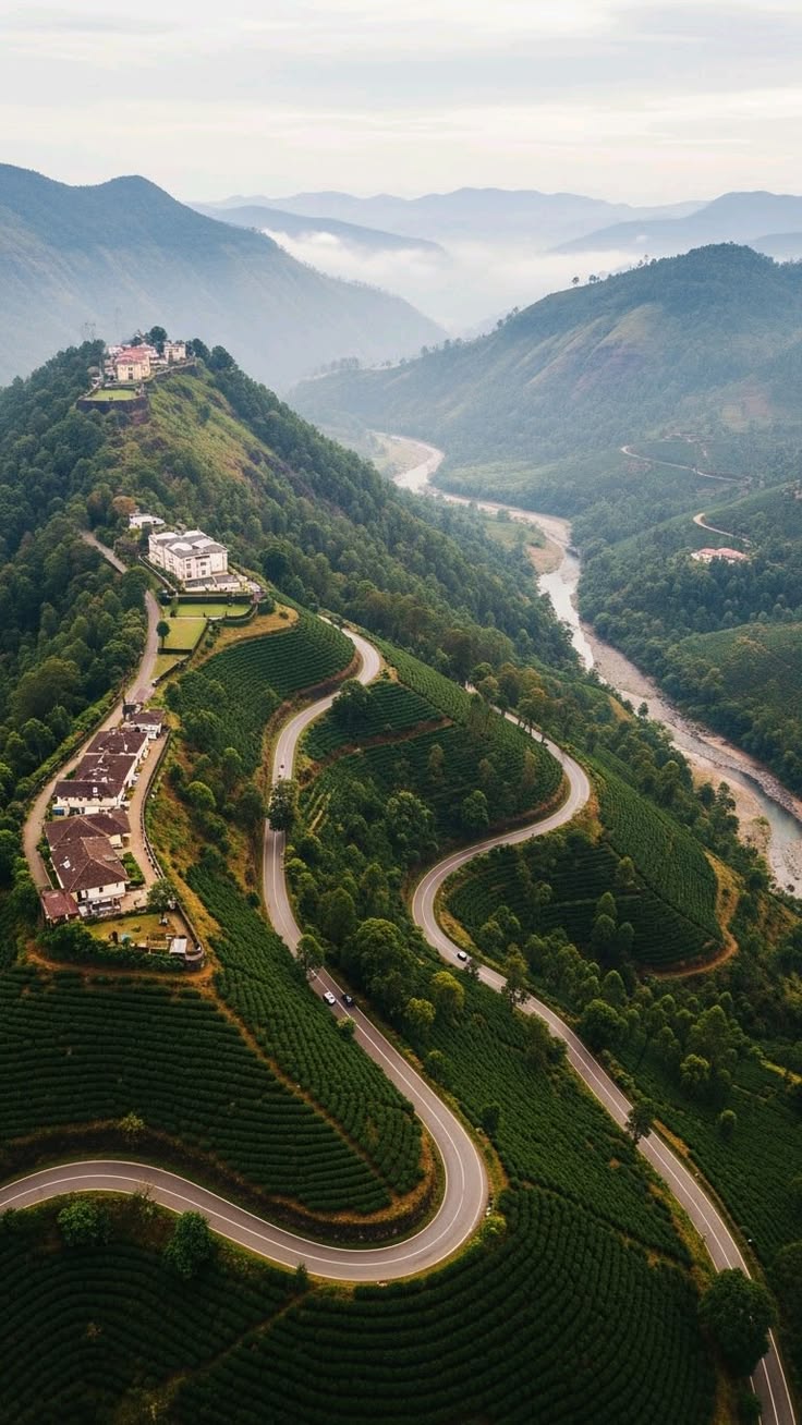 Coffee estates, Mysore Palace and Chamundi Hills, Karnataka