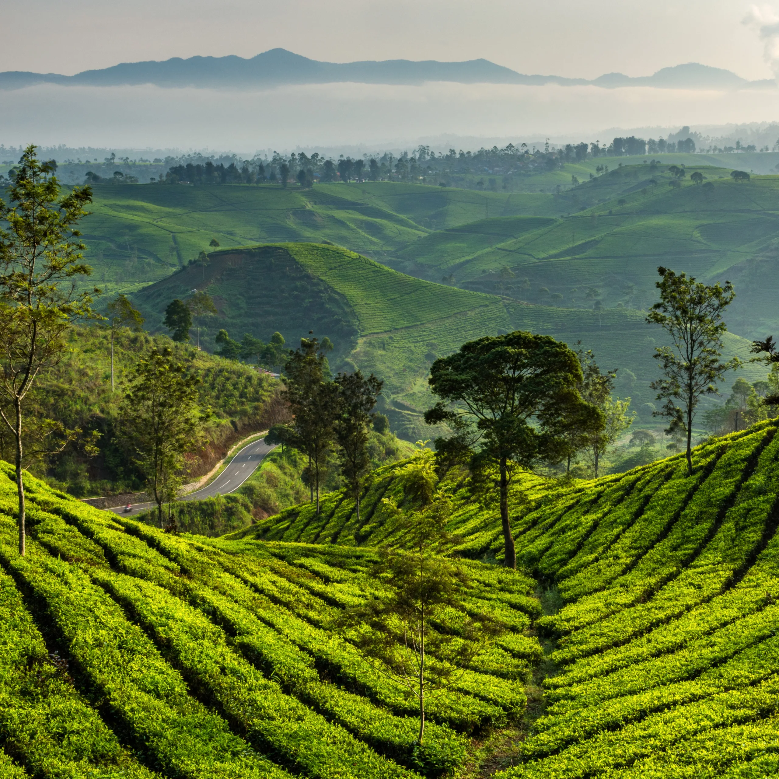 Honeymoon Packages