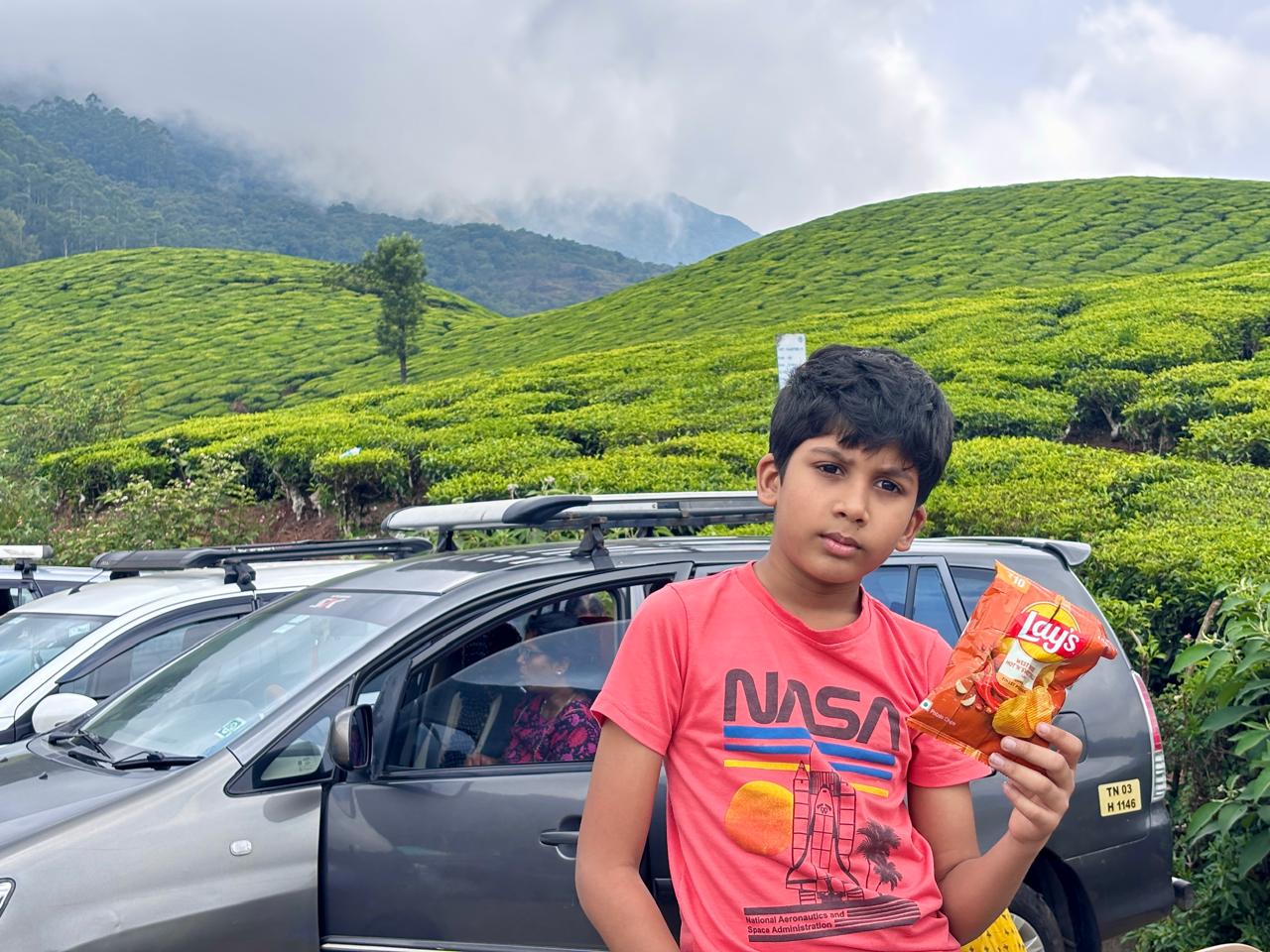 Tea estates in Munnar, Kerala