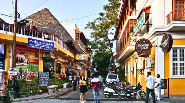 Coffee estates, Mysore Palace and Chamundi Hills, Karnataka